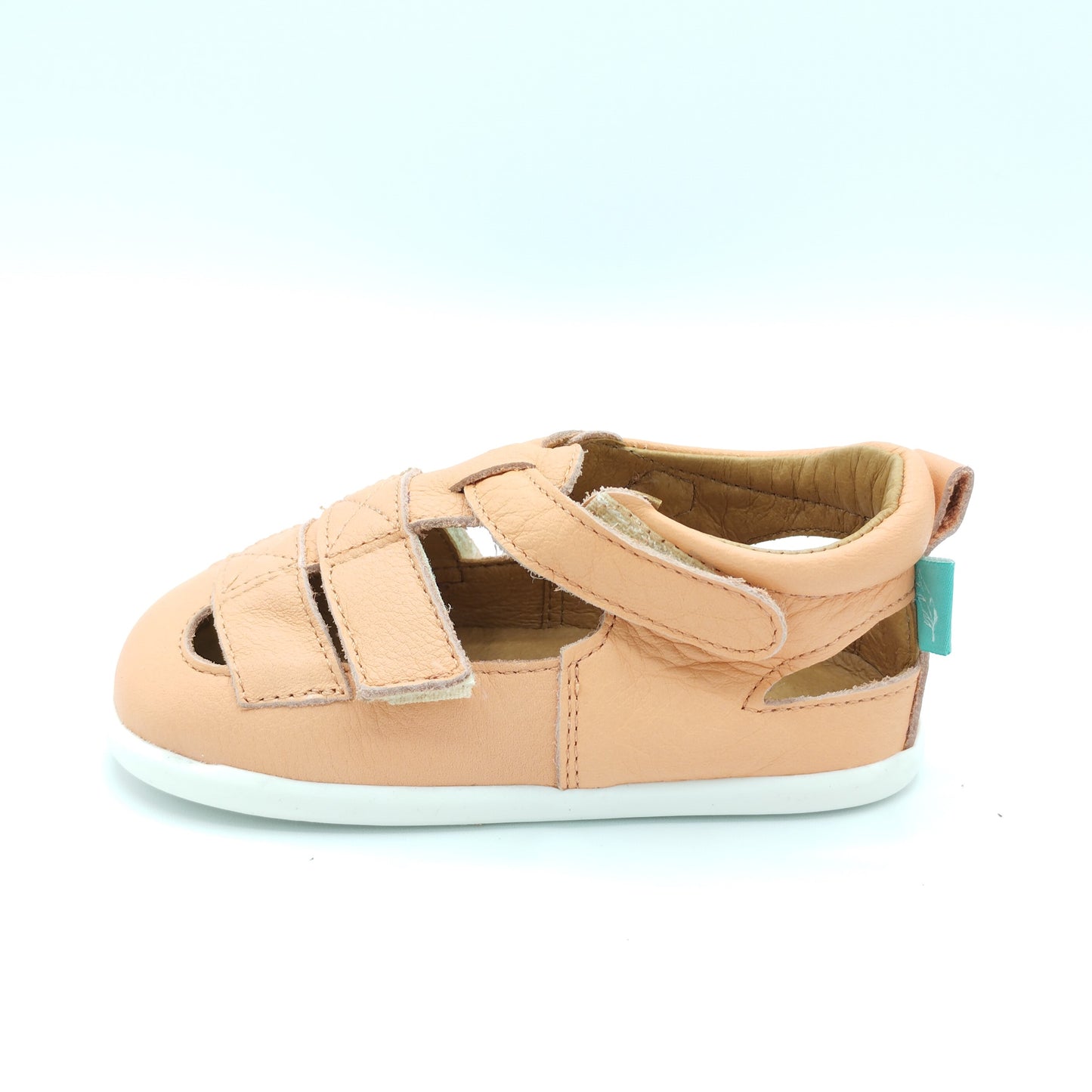 Cangrejera Nemo MINI SHUU