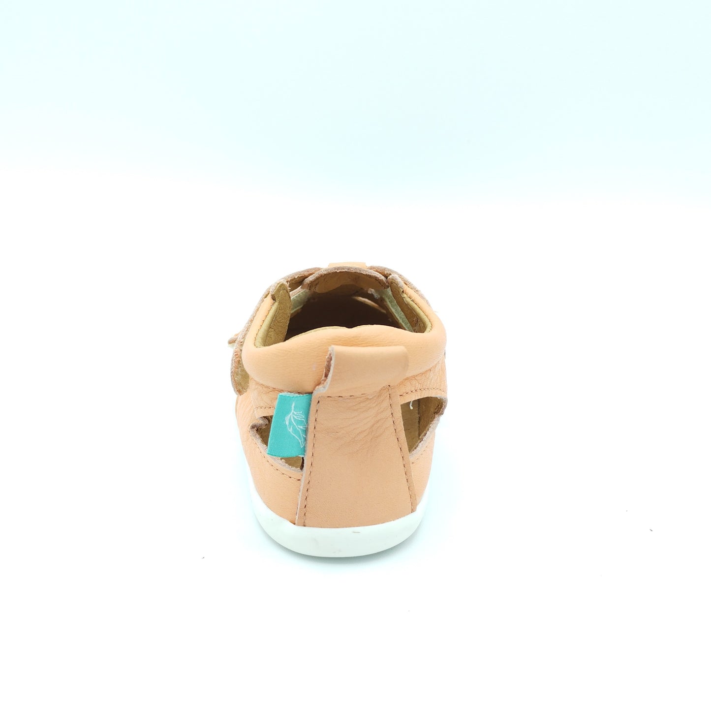 Cangrejera Nemo MINI SHUU